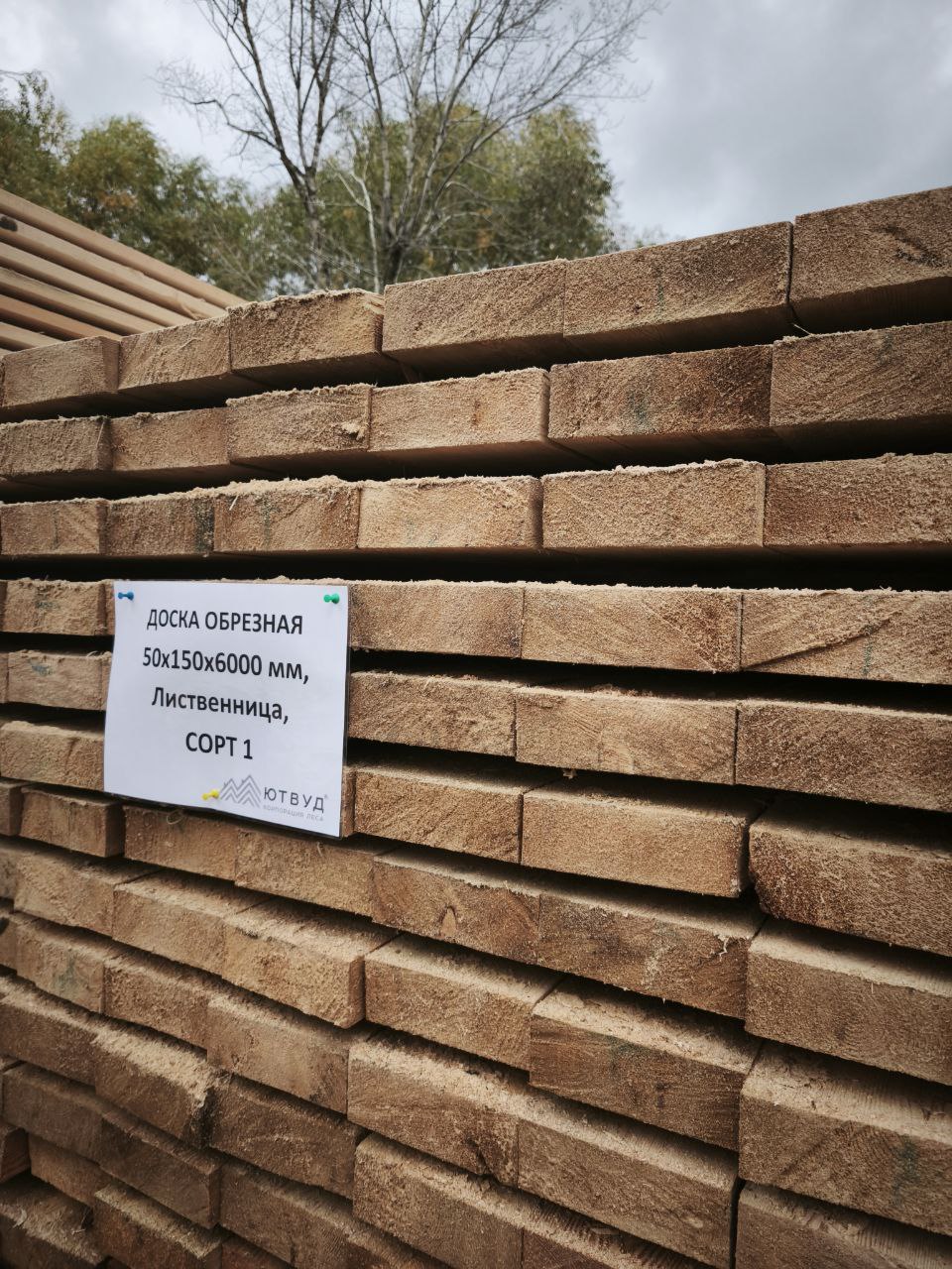 Доска обрезная 50х150х6000 мм, лиственница, сорт 1 (ТУ)